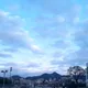 말차덕후