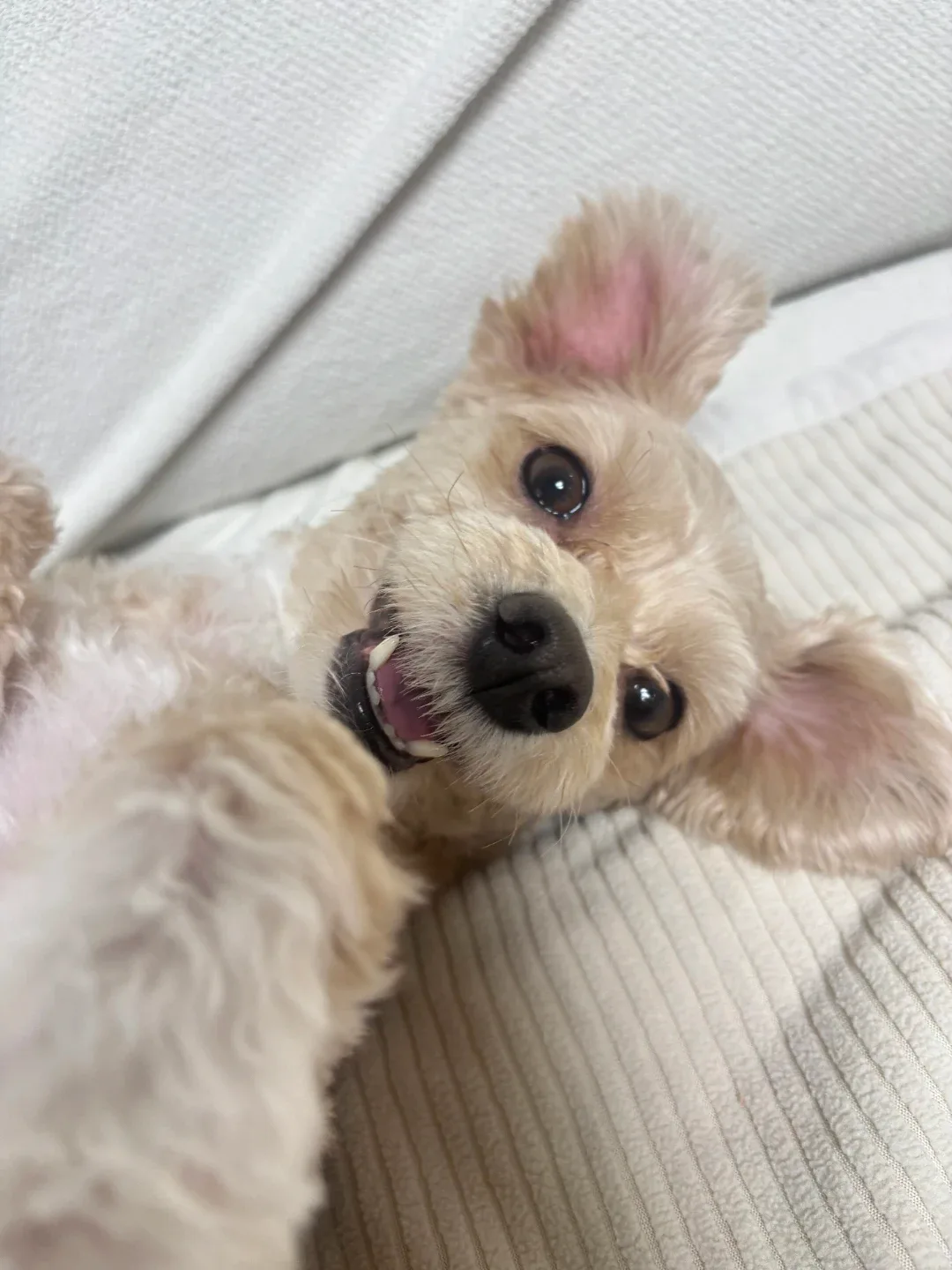 단다닝