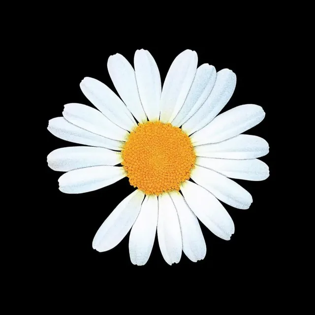 깽쓰