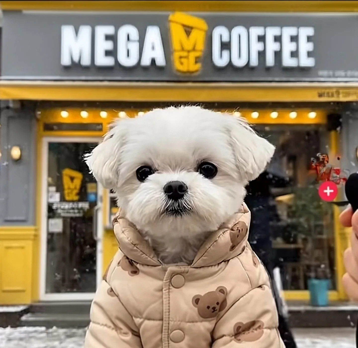 행복주님
