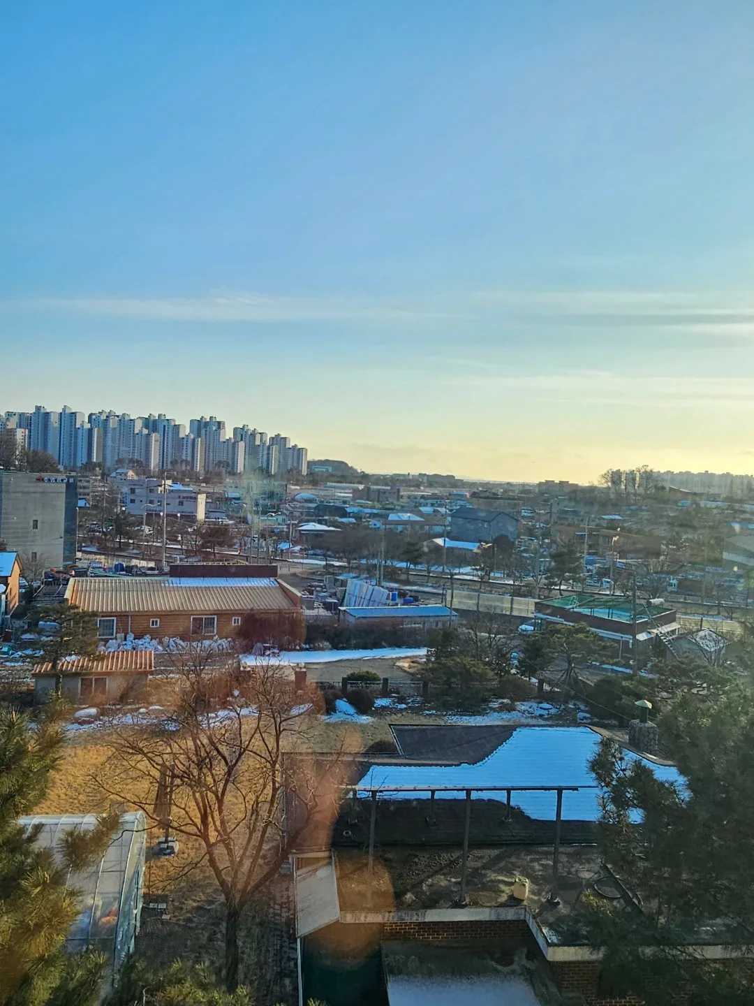 profile
