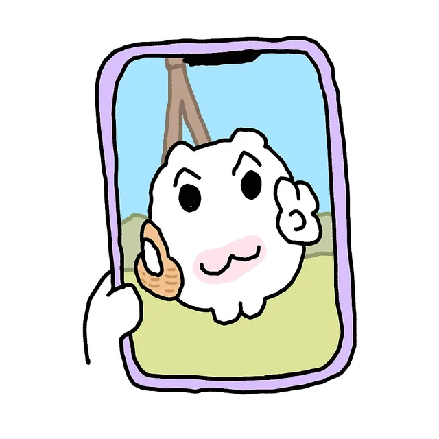 두부도너츠