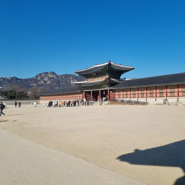 장덕이