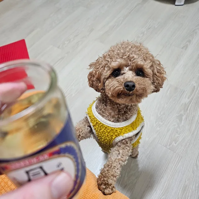 푸른바다