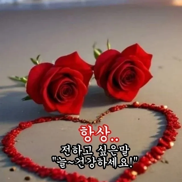 해와달