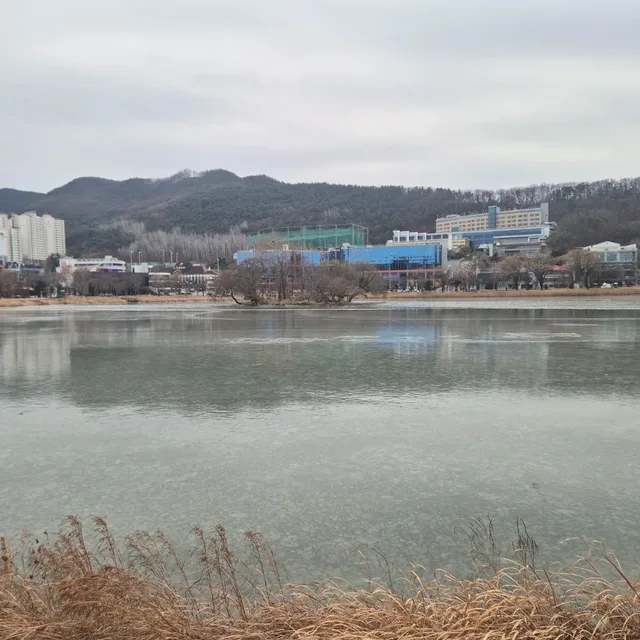 뽕명보