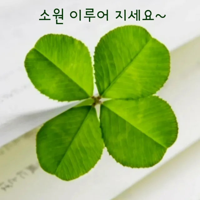 리치EMAAR