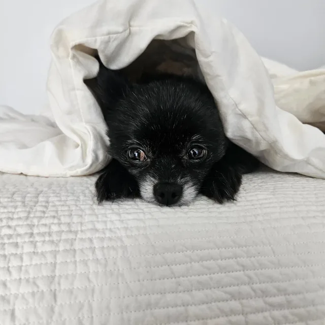 캐슬민