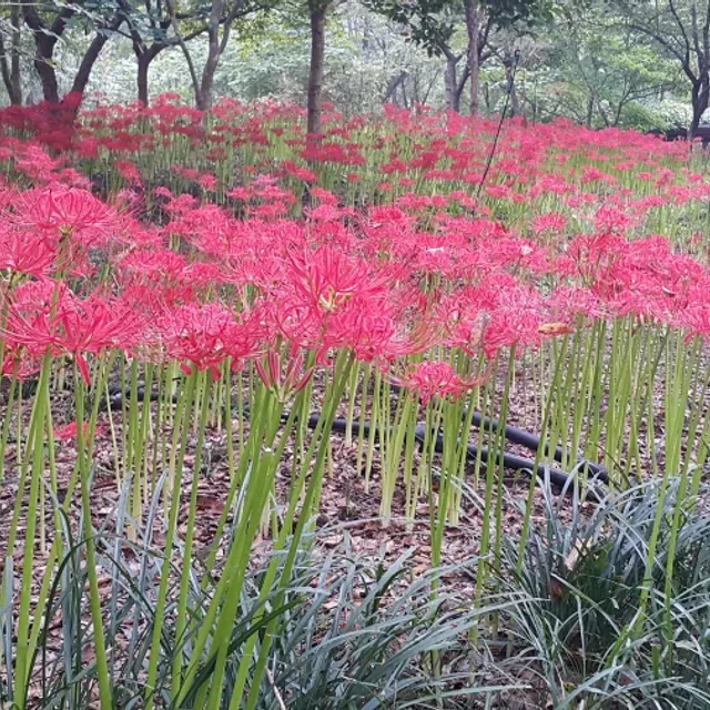 99점9