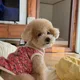 조버터
