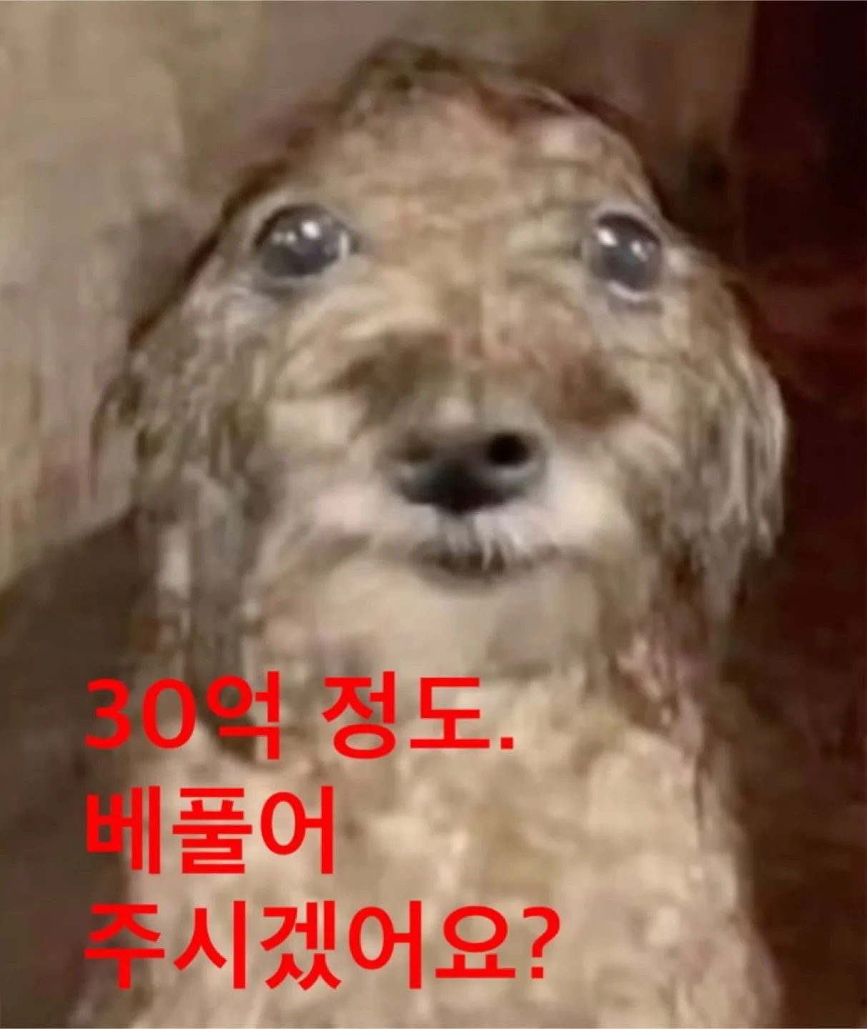 좋은꿈꿔