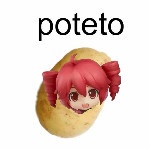 페코페코