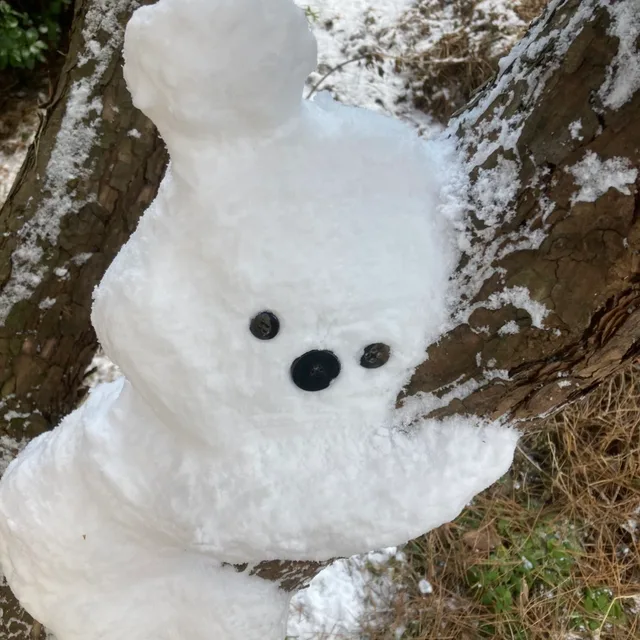 제제