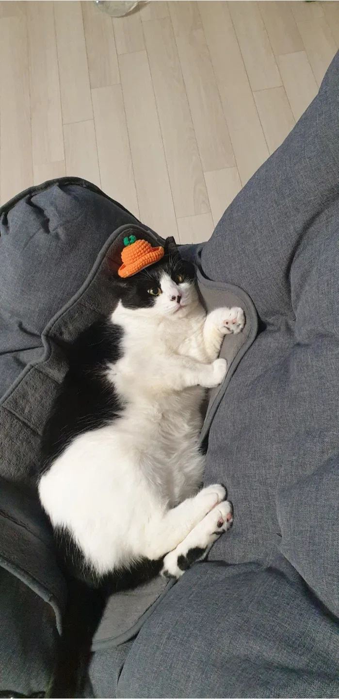 앙버터