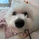 김코코