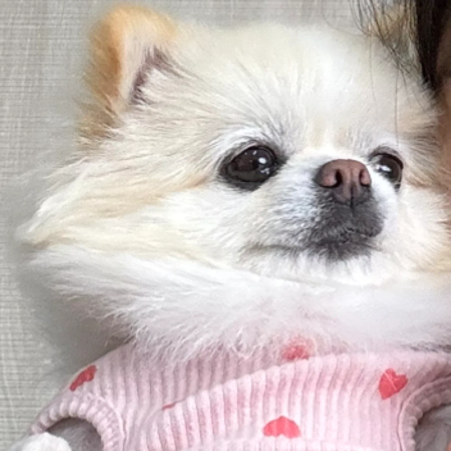 자갈치아지매