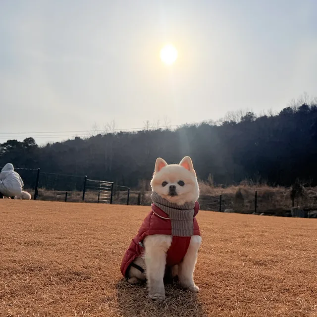 채별이