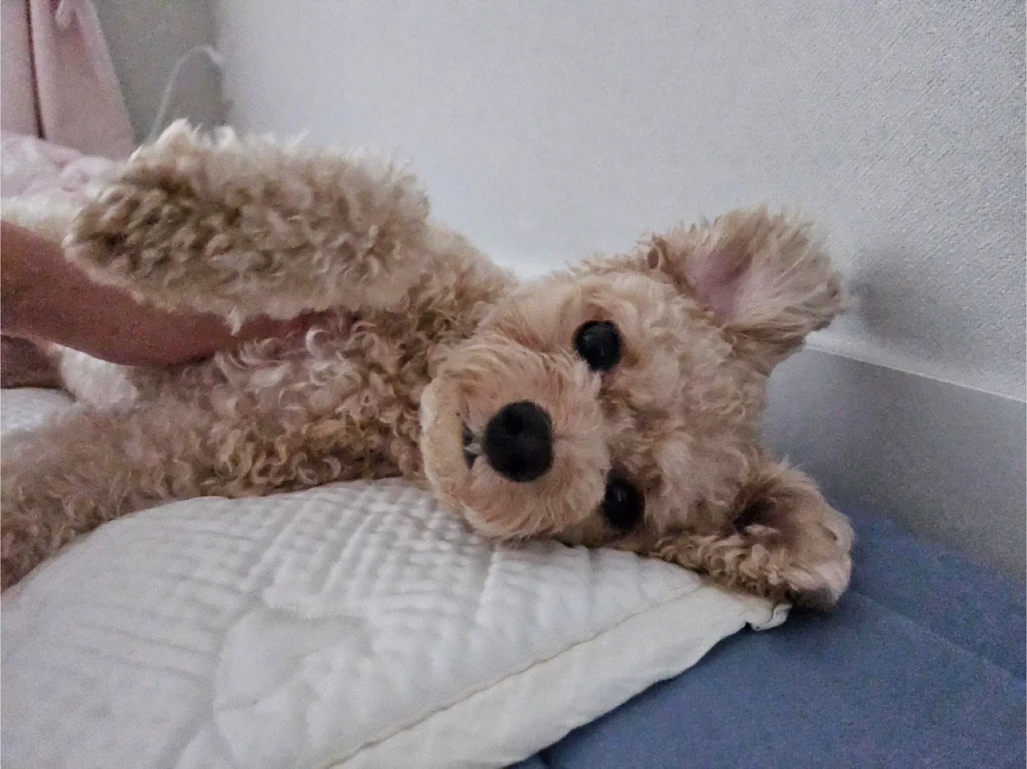 김창식스