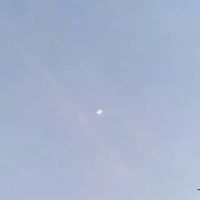 뿌뿌뿌