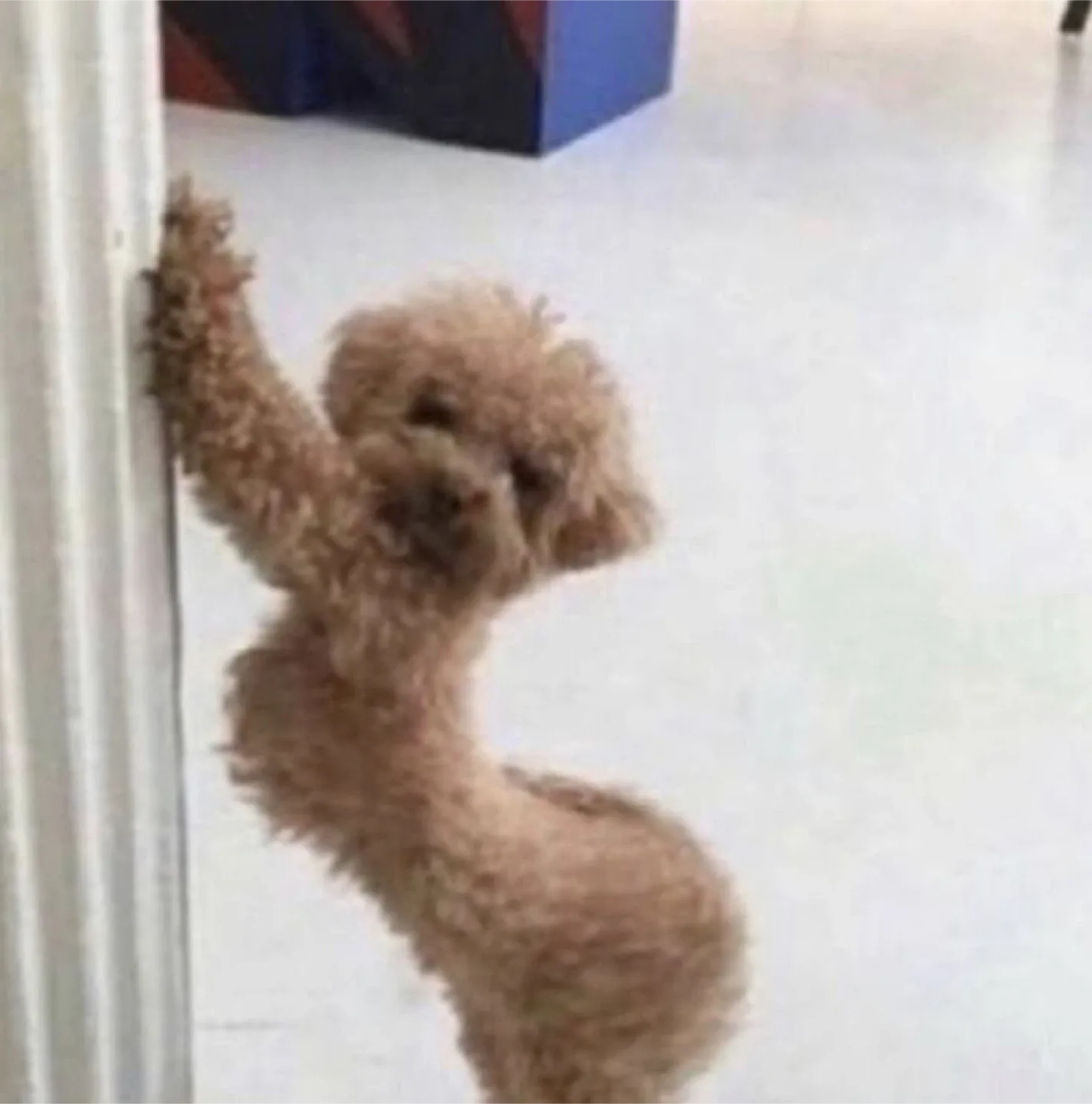문꼬리거래만합니당