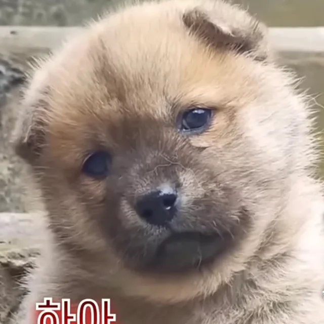 냠냠
