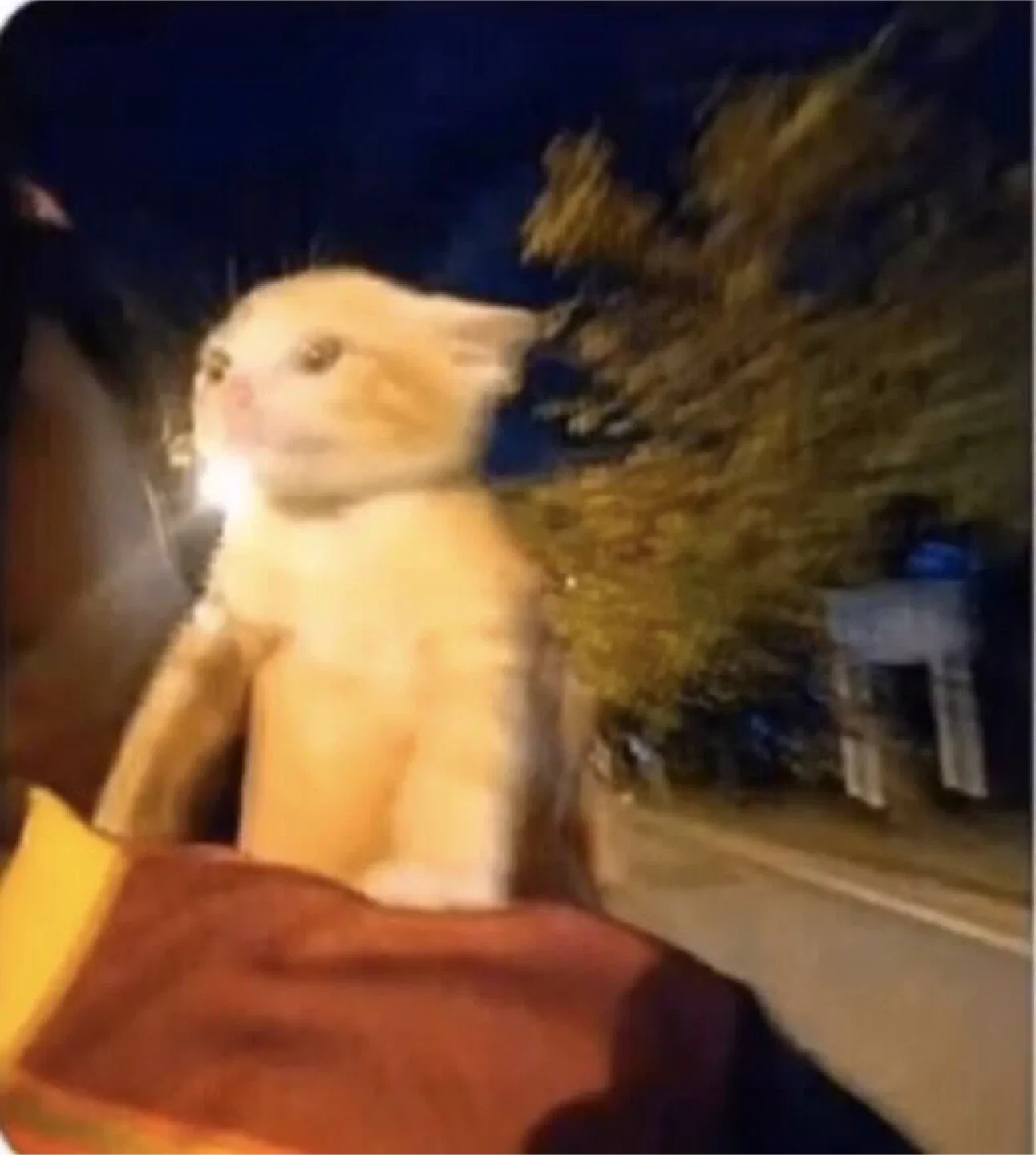 뵈년