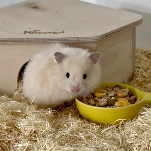 saranghaeyo