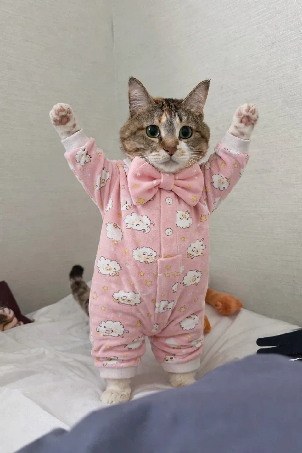 안알