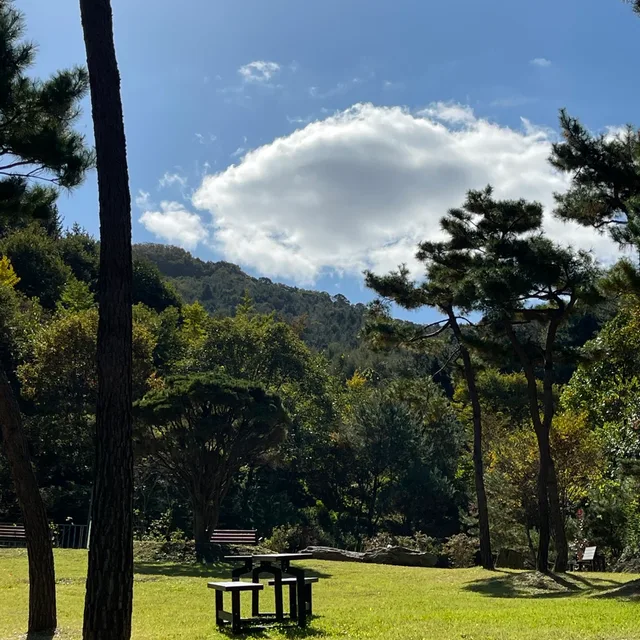 맑음