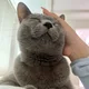 부농