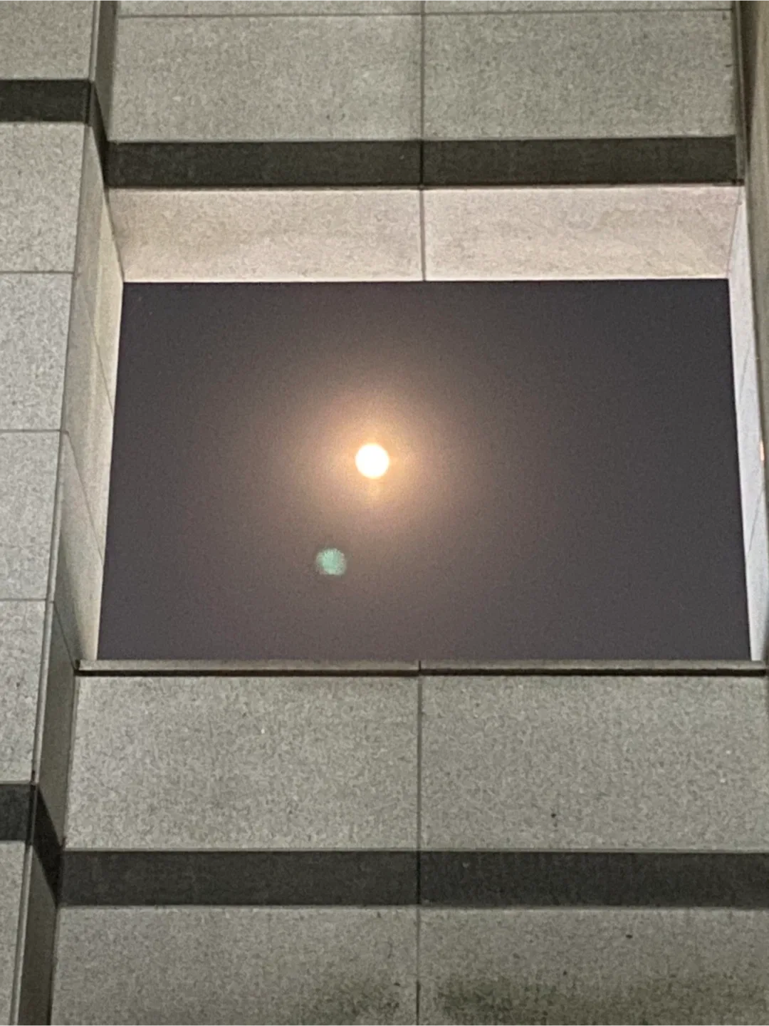 은하단