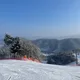 별별