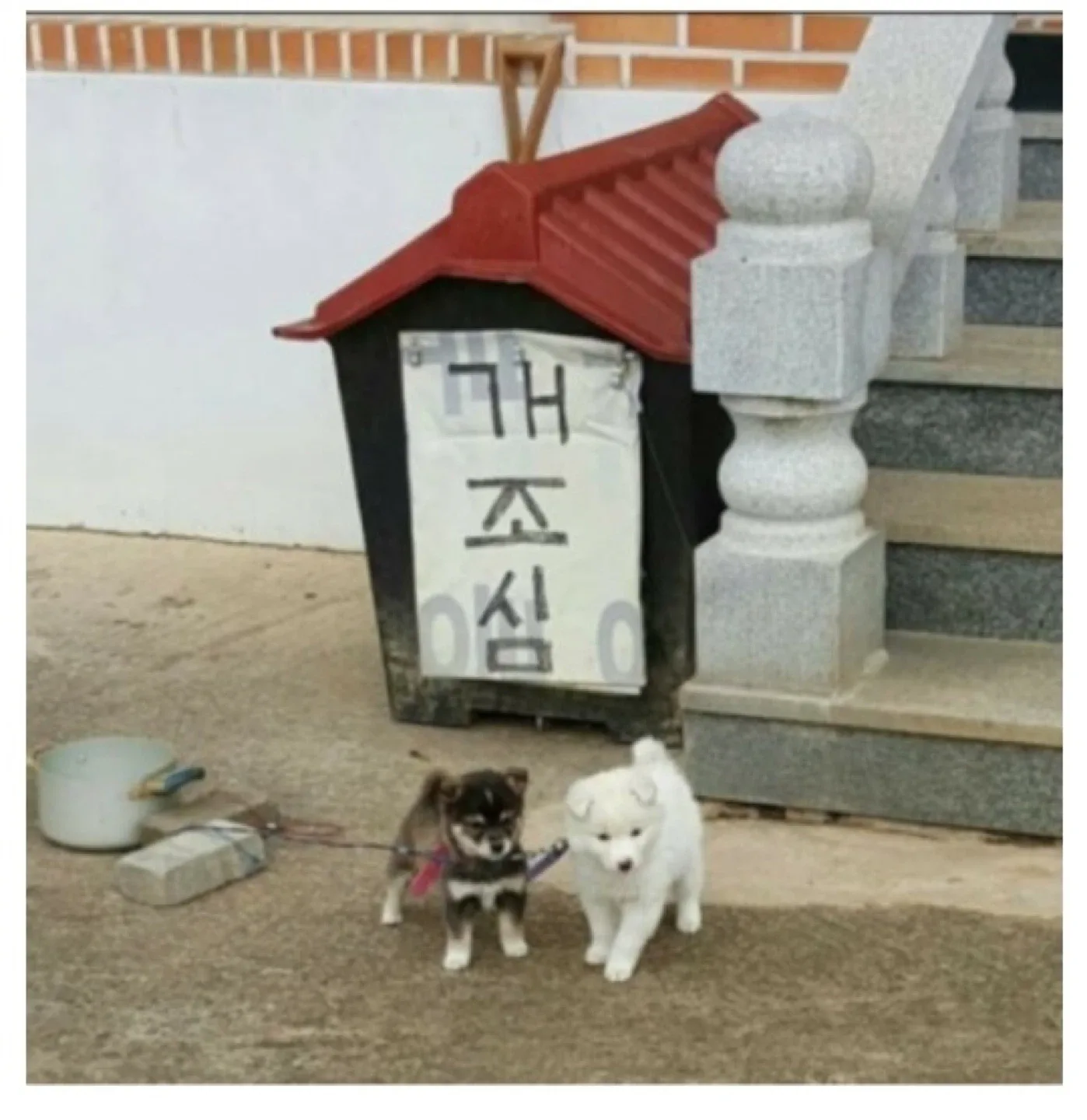 메룽