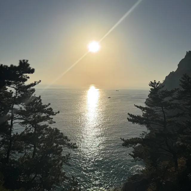 지구를위한당근