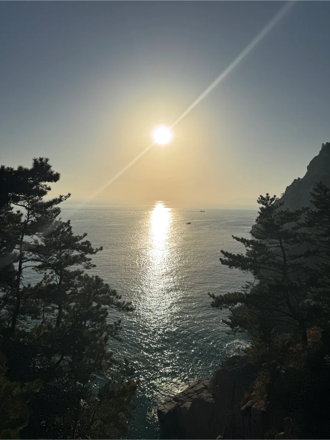 지구를위한당근