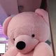 아기상어
