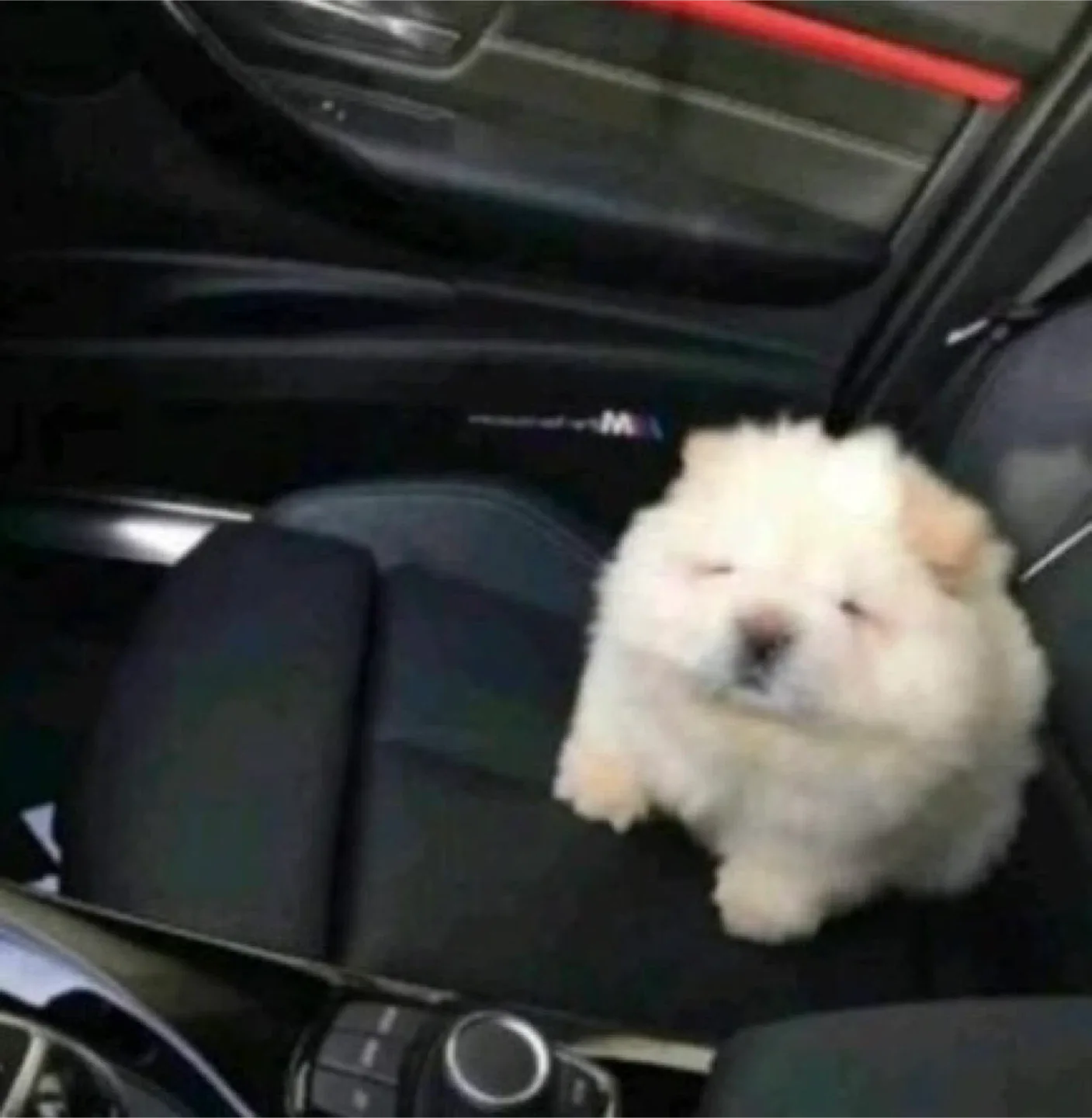 제이