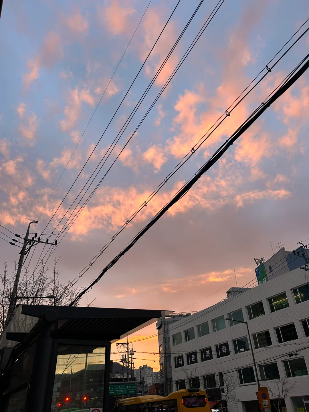 먼지라능