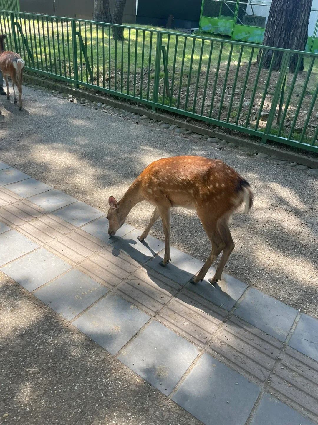 장윤석