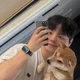 무지개다리