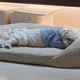 강강약약
