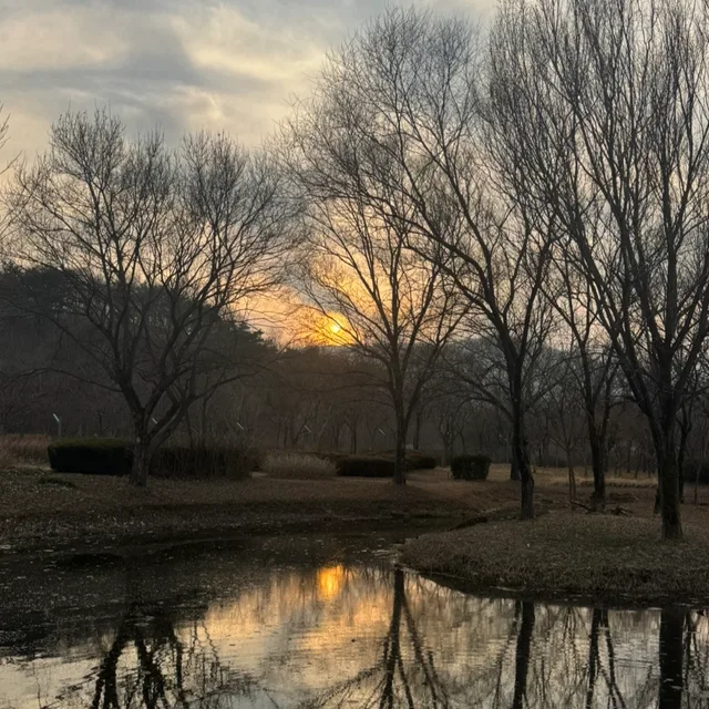 큐브