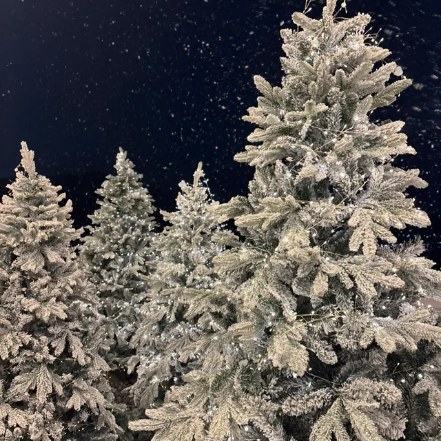 사각사각