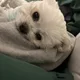 알뜰홀릭