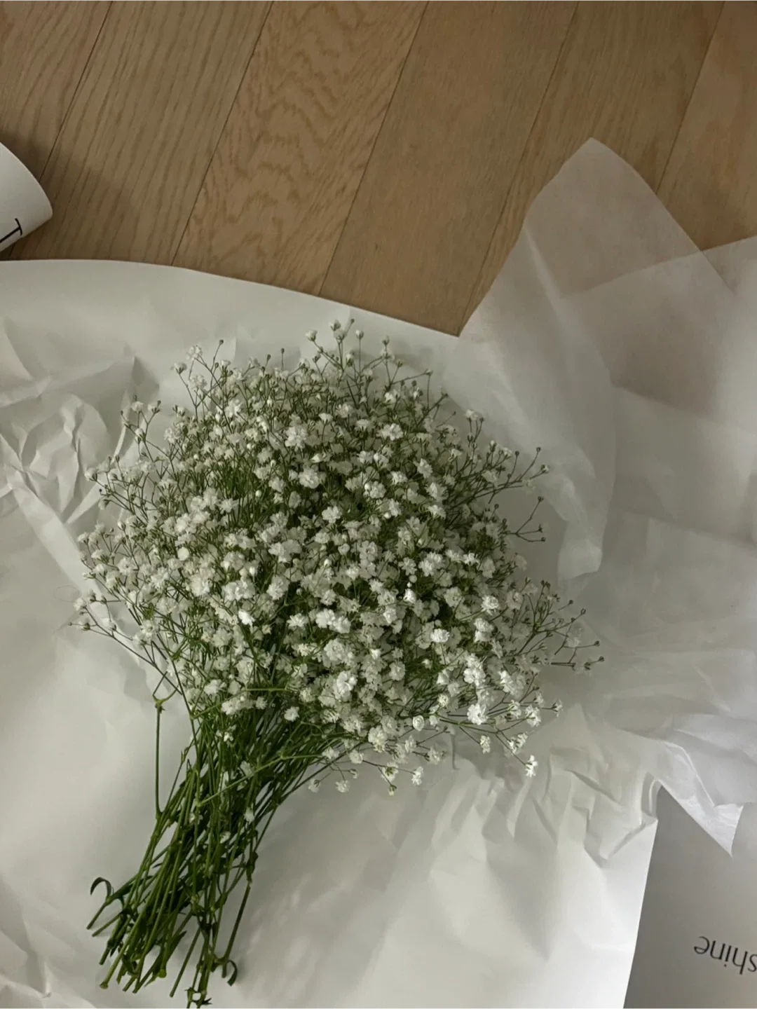 파자마