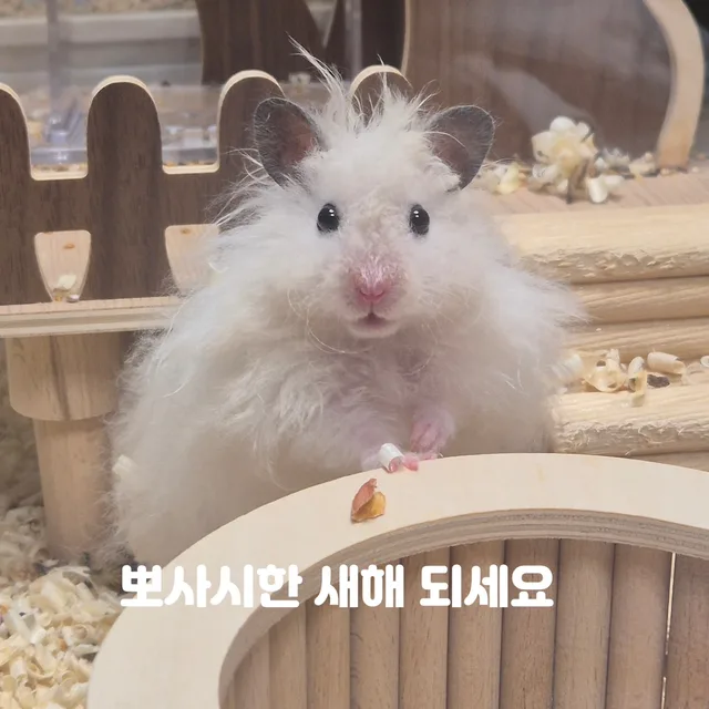 달곰두부