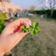 반짝이