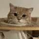 꾸밍