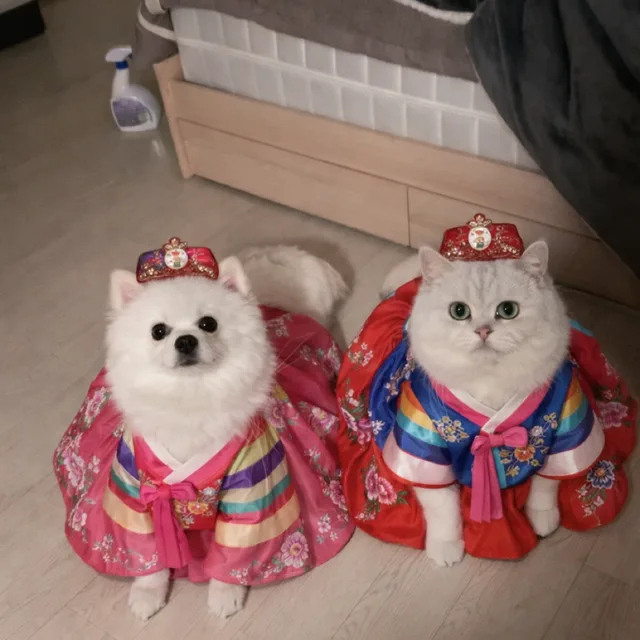 설솜맘