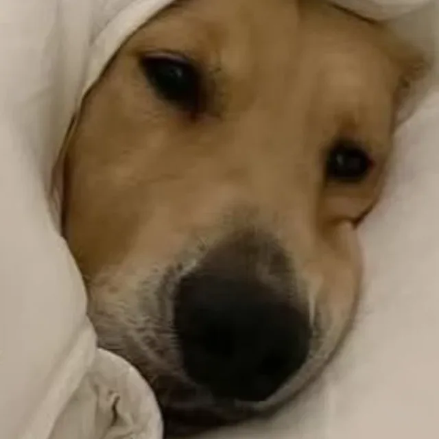 냐미